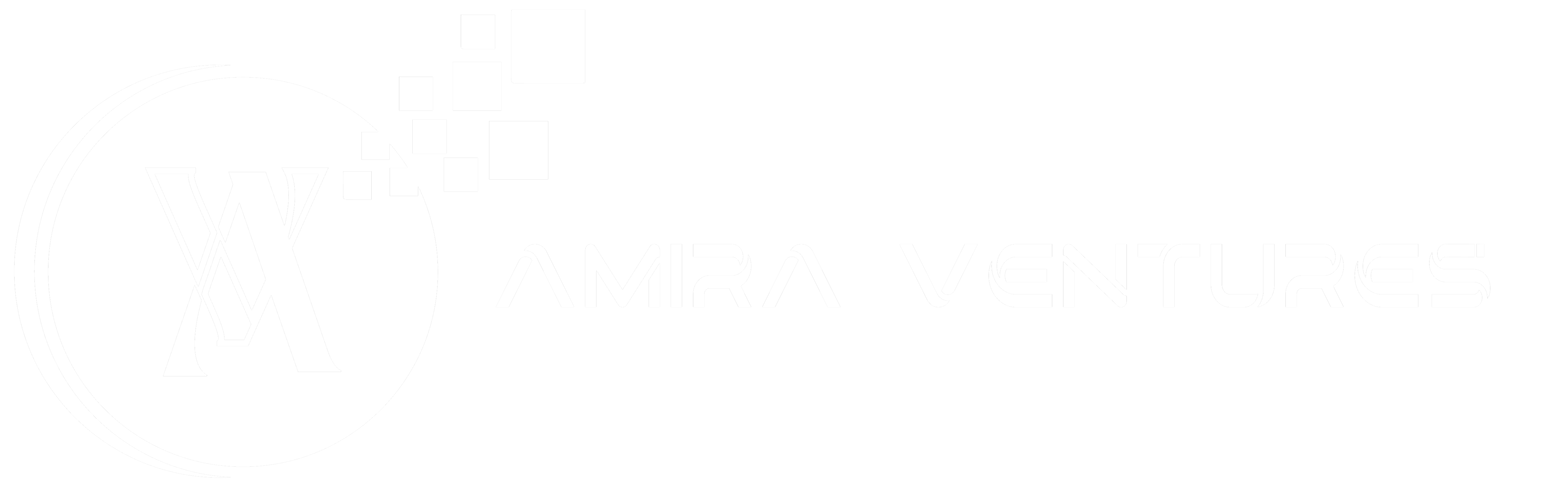 Amira Ventures